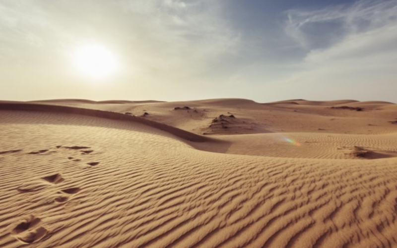 Research and Development of Integrated Emergency Drinking Water Treatment Process and Serialized Equipment for Various Pollution Types